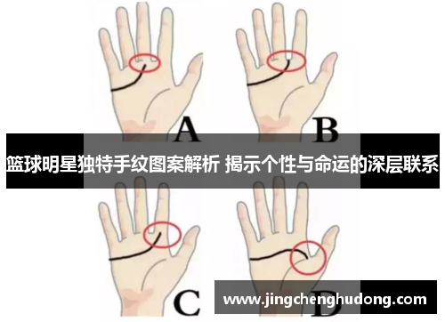 篮球明星独特手纹图案解析 揭示个性与命运的深层联系